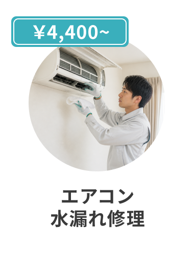 mv card02
